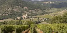 Vino, Poggio di Sotto celebra 30 anni di Brunello con l’annata 2021