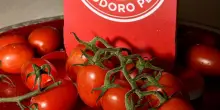 Pomodoro da industria, per Petti 80mila ton prodotto trasformato nel 2025
