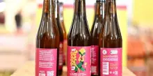 Progetto Coldiretti per birra da filiera agricola al femminile