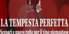 ”La tempesta perfetta”: il vino piemontese tra sfide e nuove strategie