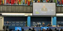 Oggi e domani riunione Commissione Codex Alimentarius alla Fao
