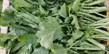 Clima mite abbassa prezzi ingrosso ortofrutta, cime rapa -21,8%