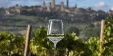 Consorzio Vernaccia: tolto marchio San Gimignano a Cantina argentina