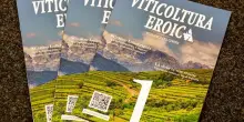 Torna stampato e online la rivista del Cervim “Viticoltura Eroica”