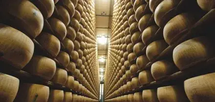 Al via battitura primo lotto forme 2025 Parmigiano Reggiano Dop