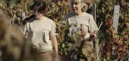 Palmento Costanzo: annata 2025 tra le migliori degli ultimi decenni