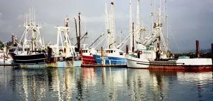 Legacoop agroalimentare: bene contestazione in sede Ue su pesca