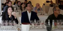 Si chiude “Abruzzo Wine Academy”: ha accolto 26 esperti di 4 Paesi
