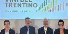 Consorzio Vini Trentino: nuovo logo con claim &ldquo;Benvenuti in alto&rdquo;
