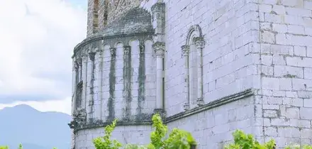 Vino, Tenuta Secolo IX spumantizza il Moscatello casauriense