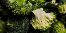 Patrocinio Masaf per il progetto &lsquo;I broccoli per la ricerca&rsquo;