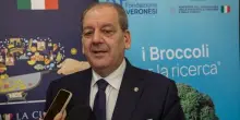 Torna dal 15 al 31 gennaio il progetto I broccoli per la salute