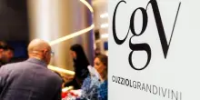 Cuzziol GrandiVini chiude 2025 in linea a 25,5 mln, cresce Ebitda