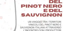 A Roma il 7 e l&rsquo;8 febbraio &ldquo;L&rsquo;Italia del Pinot Nero e del Sauvignon&rdquo;