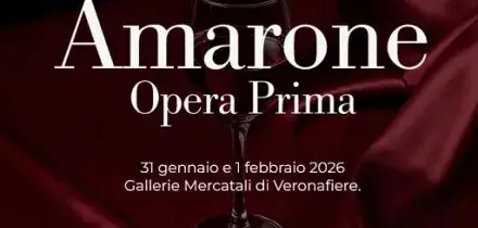 Consorzio Valpolicella: Amarone 2021 &ldquo;equilibrato, tipico ed elegante&rdquo;