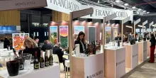 Franciacorta: il debutto a &ldquo;Wine Paris 2026&rdquo; &egrave; partito dalla Senna