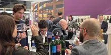 Consorzio Vini Valpolicella: a Wine Paris bilancio molto positivo
