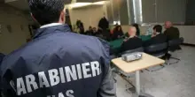 Un topo in pentola alla mensa di una scuola primaria nel Napoletano