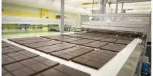 Per il cioccolato Icam 2025 in crescita a 432 mln (+35%), nuovo sito in Usa