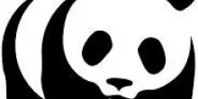 WWF: il 16 marzo il Panda Day, da &lsquo;in pericolo&rsquo; a &lsquo;vulnerabile&rsquo;