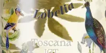 Cecchi presenta &ldquo;Lobelia 2025&rdquo;, nuovo Toscana Igt bianco