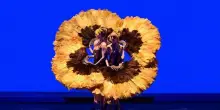 Momix, &ldquo;Botanica Season 2&rdquo; di Moses Pendleton debutta in Italia