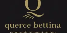 Vino, La Faretra acquisisce Querce Bettina e investe su Montalcino