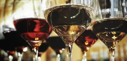 Stefani (R. Veneto): Vinitaly piattaforma fondamentale per settore