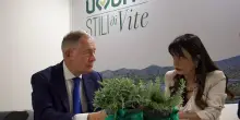 Umbria,incontro Urso-Proietti: focus su futuro Ast Terni e nodo energia