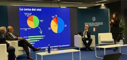Nasce Osservatorio Fipe-Uiv, a ristorante consumo vino vale 12 mld