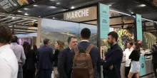 Le Marche promuovono Vinitaly, Rossi: riscontri molto soddisfacenti
