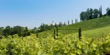 Maltempo, appello vignaioli a Fedriga per salvare Ronco della Chiesa