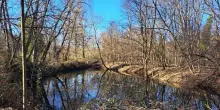 Collaborazione Parco del Ticino-Meritor per nursery di lucci