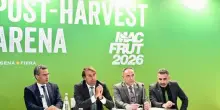 A Macfrut focus su impatto guerra su agricoltura Libano e Siria