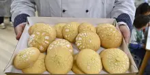Milano, &ldquo;Pan de mej&rdquo; riconosciuto prodotto a denominazione comunale