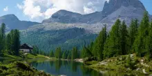 &rdquo;Dolomia Biodiversity Award&rdquo;: 40 tesi candidate alla prima edizione