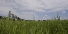 Energia, prima riunione operativa del Tavolo nazionale accumuli