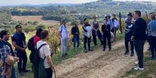 Mtv: con &ldquo;Umbria Wine Trekking&rdquo; una primavera fitta di appuntamenti