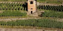 In Valtellina, cinque ecomusei raccontano le comunit&agrave; e le Alpi