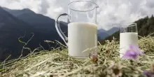 Latterie Alto Adige: in 2025 conferimenti +2,7% e fatturato +6,7%