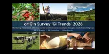 IG, oriGIn: export record tra costi e dazi: 58,9 miliardi