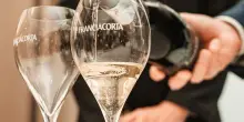 Cons. Franciacorta: nel 2025 export in crescita e prezzi medi stabili