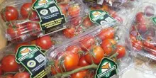 Il Consorzio Pachino Igp debutta al TuttoFood