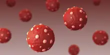 Quello che c&rsquo;&egrave; da sapre sull&rsquo;Hantavirus
