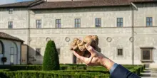 Salone Nazionale del Tartufo Bianco Pregiato, 3 week-end a novembre