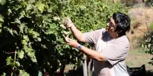 Il 23 maggio Monira Al Qadiri porta &ldquo;Geologie del tempo&rdquo; in Sicilia