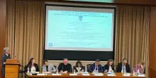 Pontificia Universit&agrave; Santa Croce: Impresa come leva di inclusione