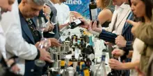 &rdquo;VitignoItalia&rdquo; compie 20 anni: da 17 maggio a Napoli con 250 aziende