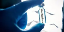 Test per l&rsquo;Hantavirus su una turista argentina, britannico al Sacco in quarantena