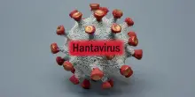 Negativi i test per Hantavirus del turista Gb, della donna argentina e del marittimo calabrese